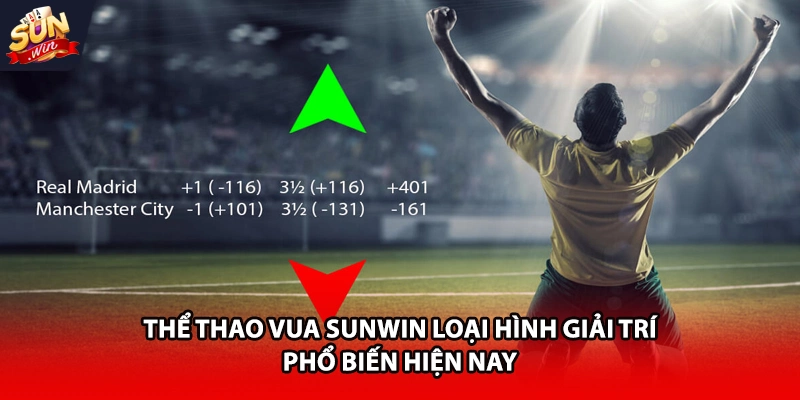 Thể thao Vua Sunwin loại hình giải trí phổ biến hiện nay